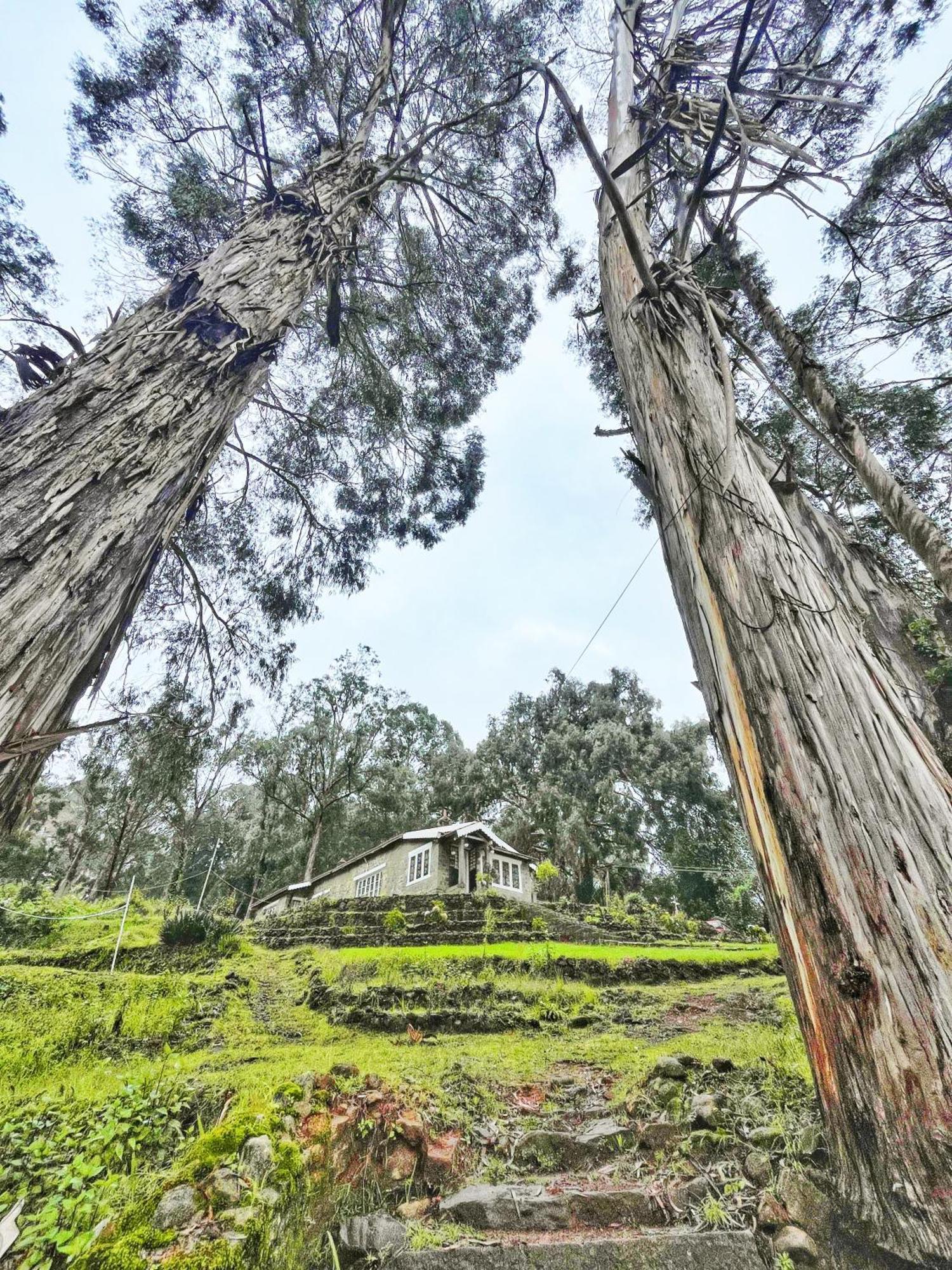 Springdale Villa Kodaikanal Exteriér fotografie
