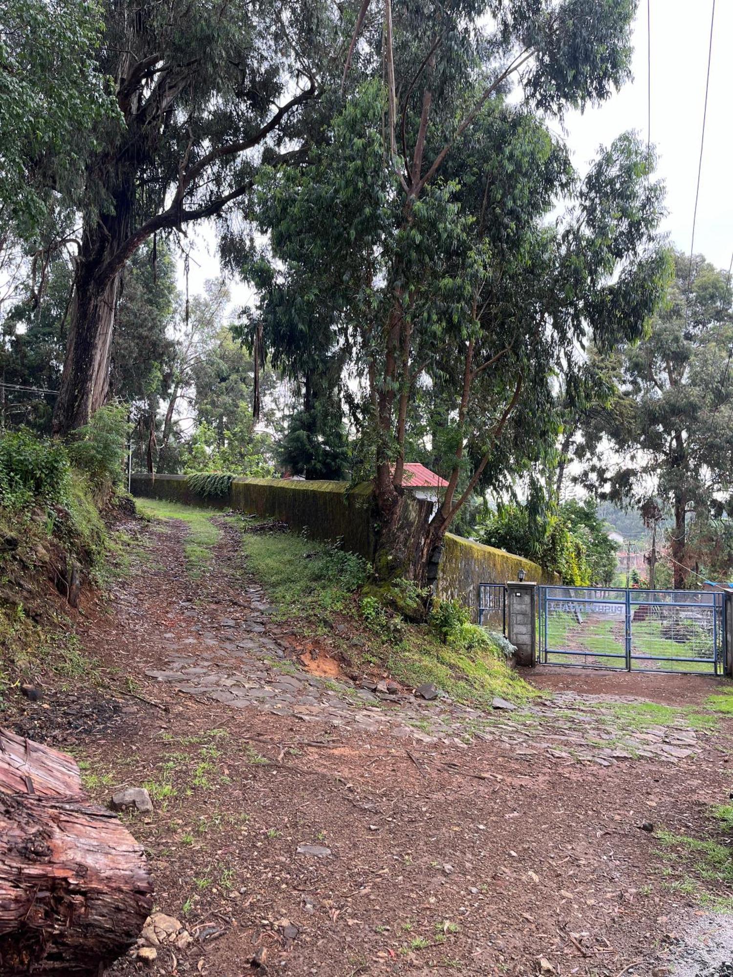 Springdale Villa Kodaikanal Exteriér fotografie