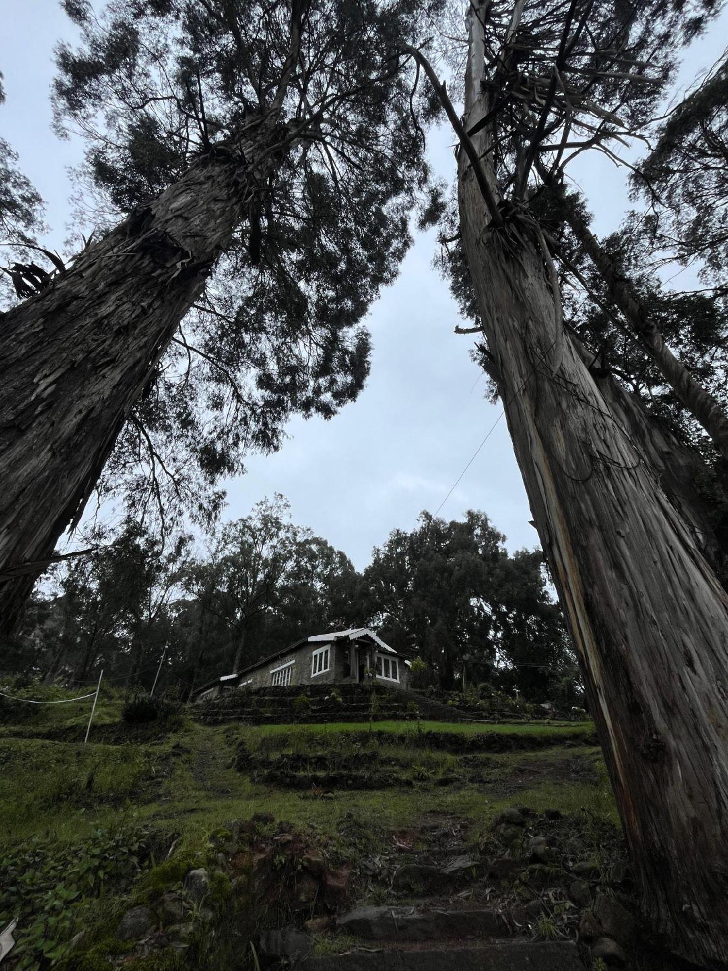 Springdale Villa Kodaikanal Exteriér fotografie