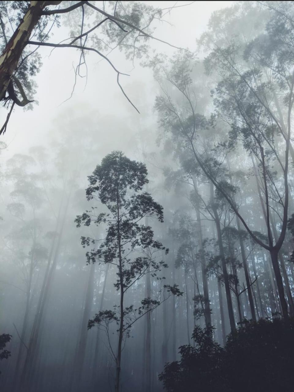 Springdale Villa Kodaikanal Exteriér fotografie